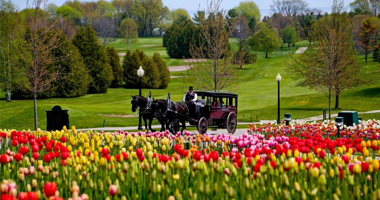 The 6 Essential Weekend Getaways Near Ann Arbor